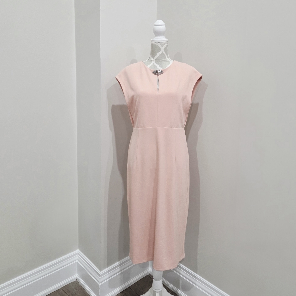 Maggy London Blush Midi Dress